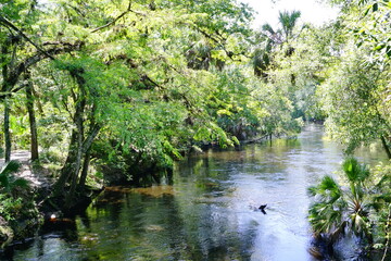 Hillsborough river state park at Tampa, Florida	