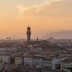 Florence Series