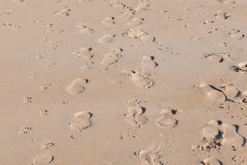 Fototapeta na wymiar footprints on sandy beach