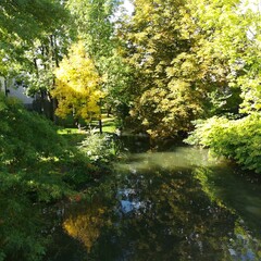 paysage