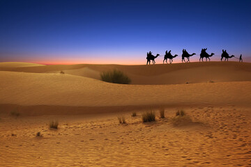 Fototapeta na wymiar Camel caravan in desert sand dunes at sunset or dusk