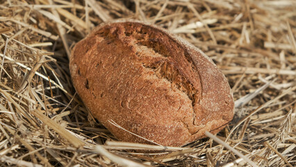 Warm bread in wheat field. Homemade baking concept. Fresh baked bread on hay background. Wheat loaf...