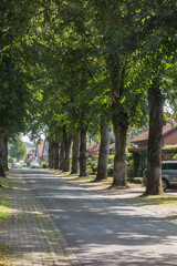 allee in warendorf-einen, westfalen