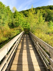 Obraz premium A Bridge Into...