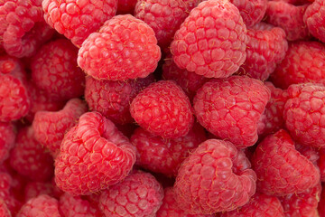 Fresh red garden raspberry fruits close up background