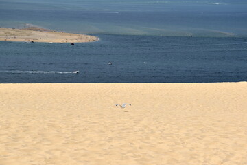 Dune du Pilat an der Atlantikküste in Frankreich