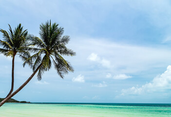 Fototapeta na wymiar Tropical palm tree sun light blue sky