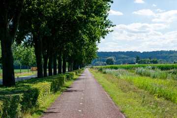 Fototapeta na wymiar A bike path in the polder