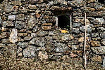 Elder's stick and old teapot  in front of vintage stone wall, County Wicklow, Ireland