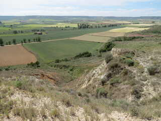 Fototapeta premium Meseta landscape around Castrojeriz