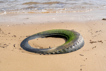 A moss-covered car tire tyre on the waters edge at a beach, which is polluting the environment