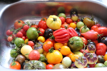 Multicolored tomatoes close-up top view, selective focus.