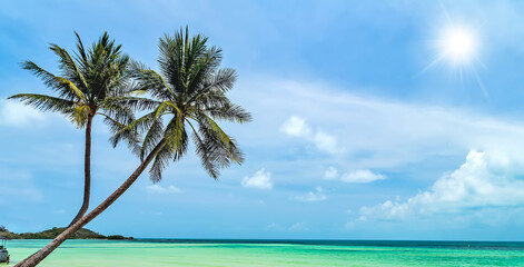 Tropical palm tree sun blue sky Male, Maldives