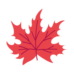 autumn season leaf plant icon