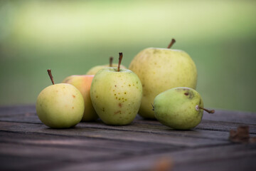 Closeup of yellow apples on wooden table in a garden