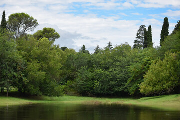 lake and forest