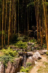 
The Villa Carlotta is a villa in Northern Italy on Lake Como. Villa Carlotta is a place of rare beauty, where nature and art are in perfect harmony