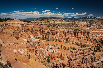 Bryce canyon national park amphitheater looking towards Sunset point with rich blue sky and white billowing clouds.