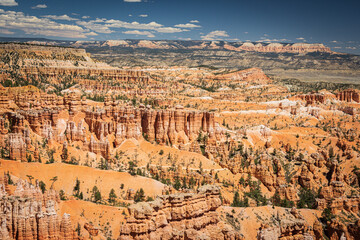 Bryce canyon national park amphitheater with blue sky and white clouds