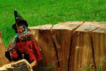 Wiedźma czarownica siedząca na kawałku świeżo pociętego drzewa 