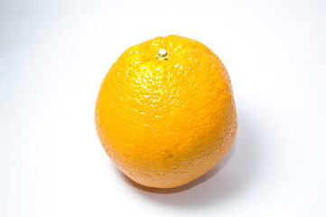 Laranja do Brasil com fundo branco