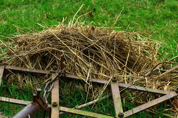 Sprzęt do orania pola z niewielka ilością siana na zielonej trawie  © Kamil Cukrowski