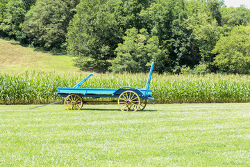 antique wagon in a field