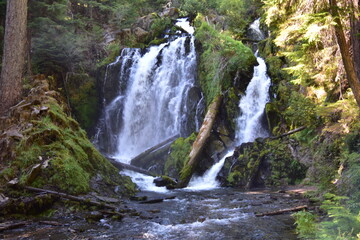Fototapeta premium waterfall in the forest