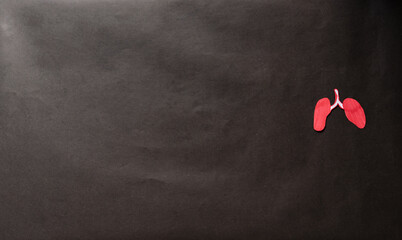 organ donor day, hands holding organ, donor woman holding red heart, health insurance, donation...