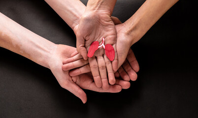 organ donor day, hands holding organ, donor woman holding red heart, health insurance, donation...