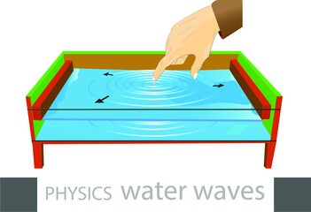 The water wave created by the raindrop. direction of water waves. trough of water waves. physics. measurement of water waves with a stroboscope. 