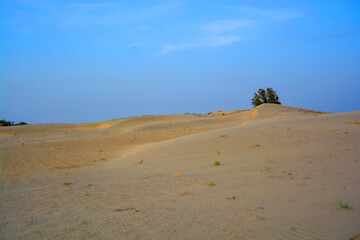 Sand dunes in the Arabian desert