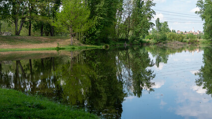 Fototapeta na wymiar vue sur un étang en été avec les reflets des arbres et du ciel en été 