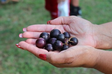 Lady with polished nails and a handful of dark grapes