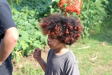 Inquisitive youngster watching as farm work is being done with garden in the background