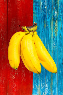 hand ripe delicious baby bananas with old wood painted with red and blue colors. Color background
