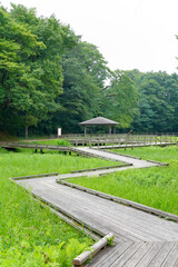 Fototapeta premium 公園の東屋