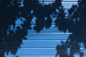 shadows on blue wall