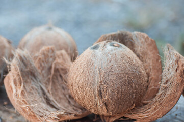 coconut on the beach