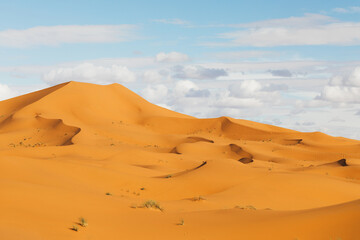 Fototapeta na wymiar Sahara desert landscape with sand dunes and beautiful clouds in sunset light. Travel in Dubai. Nature empty background.