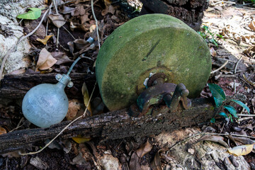 Old grind stone wheel discarded under a tree.