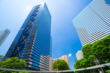 Fototapeta premium 東京 高層ビル群 青空と緑