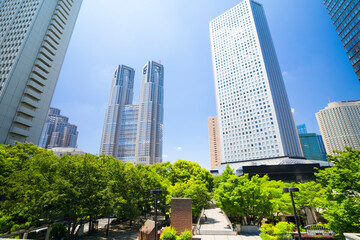 Obraz premium 東京 高層ビル群 青空と緑