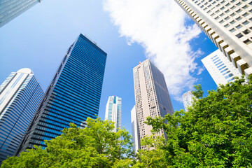 東京　高層ビル群　青空と緑