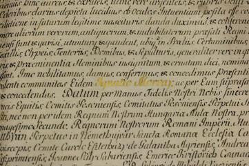 Ancient manuscript in codex, texture 