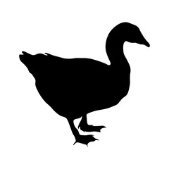 Goose (Branta) Standing On a Side View Silhouette Found In Map Of Asia, Europe And North America