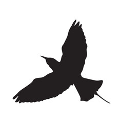 Green Bee Eater (Merops Orientalis) Silhouette Found In Map Of Africa, Asia And Middle East