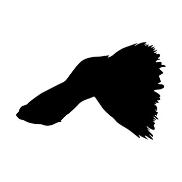 black guppy fish silhouette on white clip art preview
