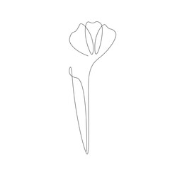 Flower on white background, vector illustration