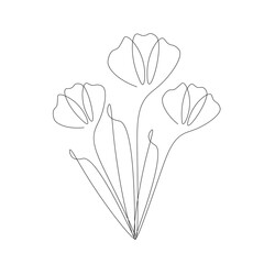 Flowers on white background, vector illustration